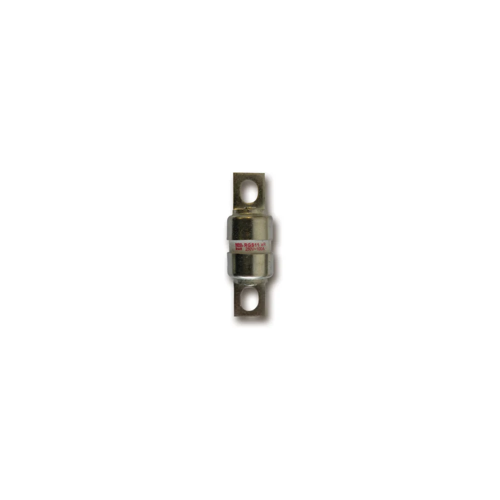 RGS11 250V 80A PORSELEN SİGORTA